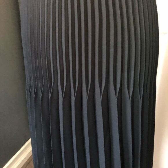 Max Edition Blue Pleated Maxi Skirt - Picture 3 of 6